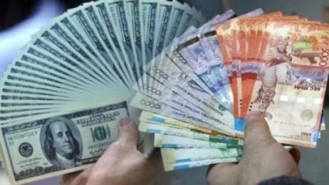 Отечественный бизнес наращивает валютные обязательства быстрее, чем активы - изображение 1