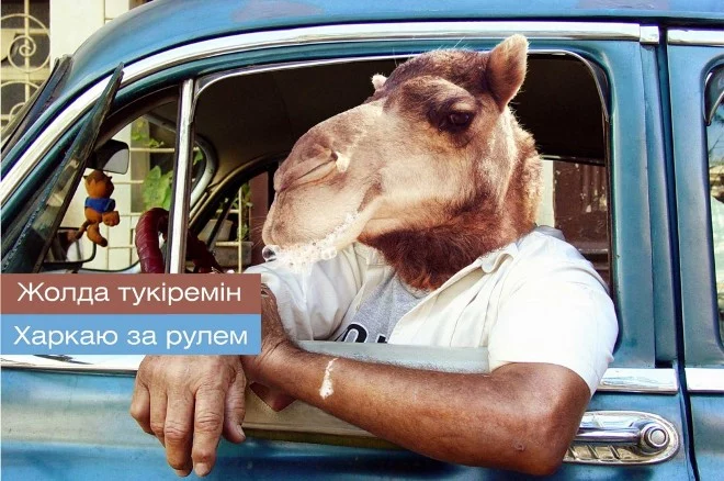 В Алматы названа лучшая социальная реклама Казахстана - изображение 1