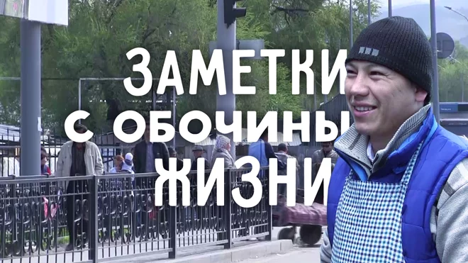 Реплика: Заметки с обочины жизни (видео) - изображение 1