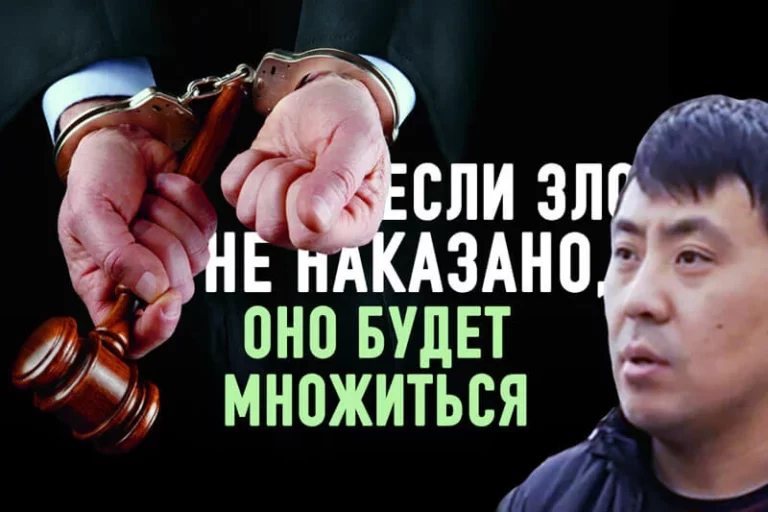 Адвокат против системы - изображение 1