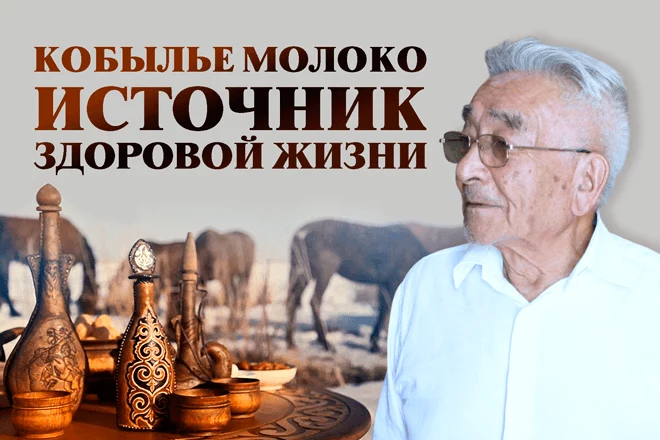 Кобылье молоко источник здоровой жизни (видео) - изображение 1