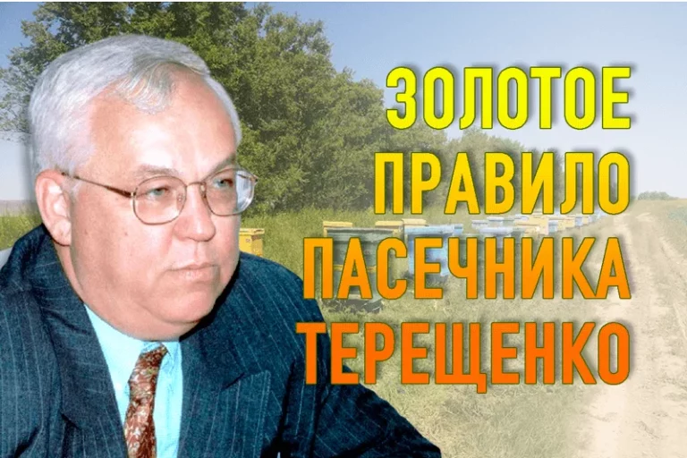 Почему экс-премьер министр ушел в медовый бизнес - изображение 1