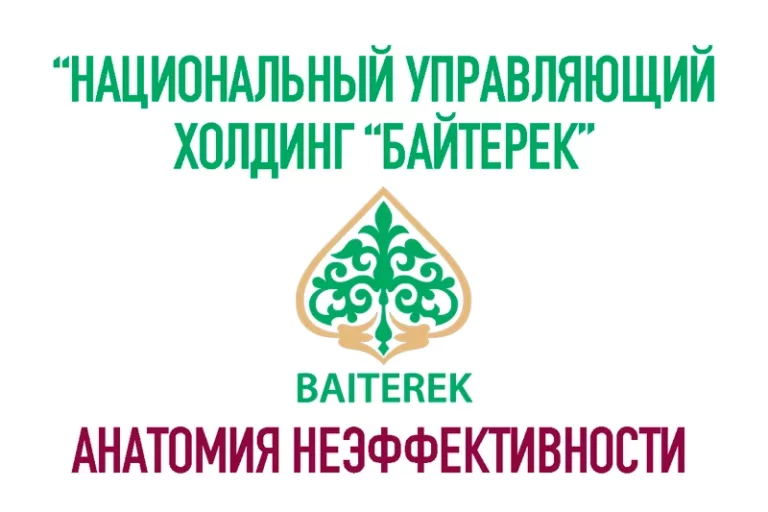 НУХ «Байтерек»: анатомия неэффективности - изображение 1