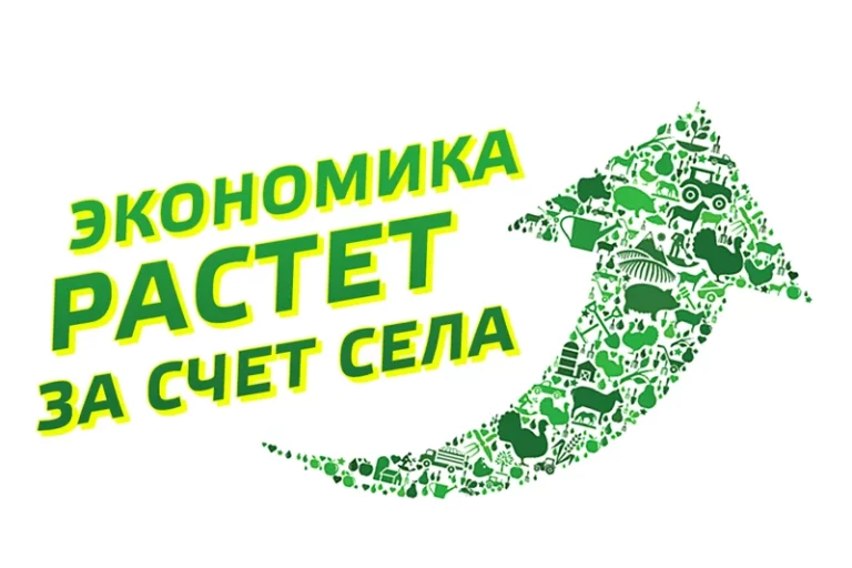 Экономика растет за счет села - изображение 1