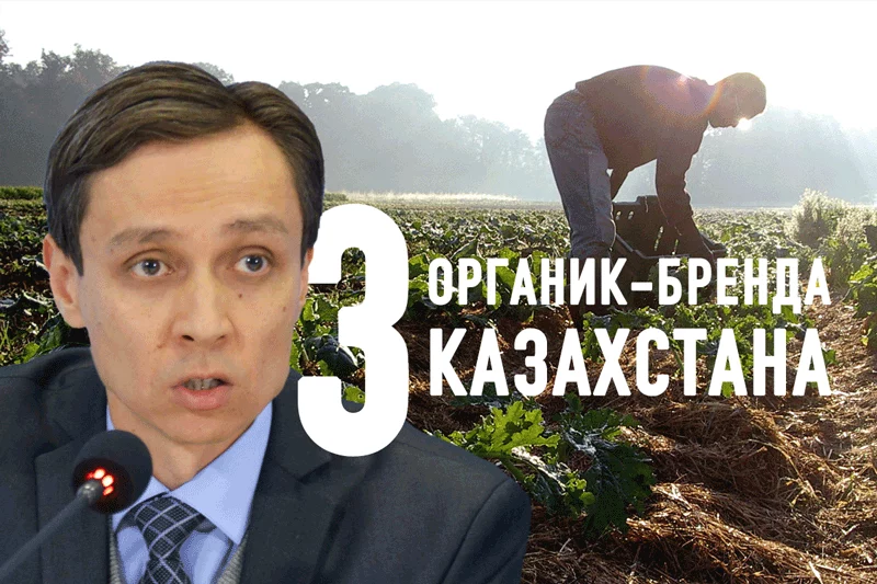 Изображение 1 для Три органик-бренда Казахстана
