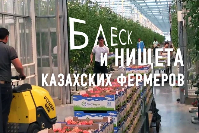 Блеск и нищета казахских фермеров (видео) - изображение 1