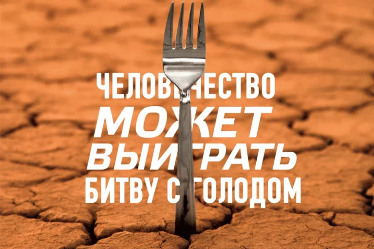 Как накормить мир - изображение 1