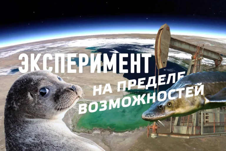 Экологические риски Кашагана до сих пор адекватно не оценены - изображение 1