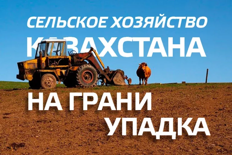 Почему казахстанское сельское хозяйство неконкурентоспособно? - изображение 1
