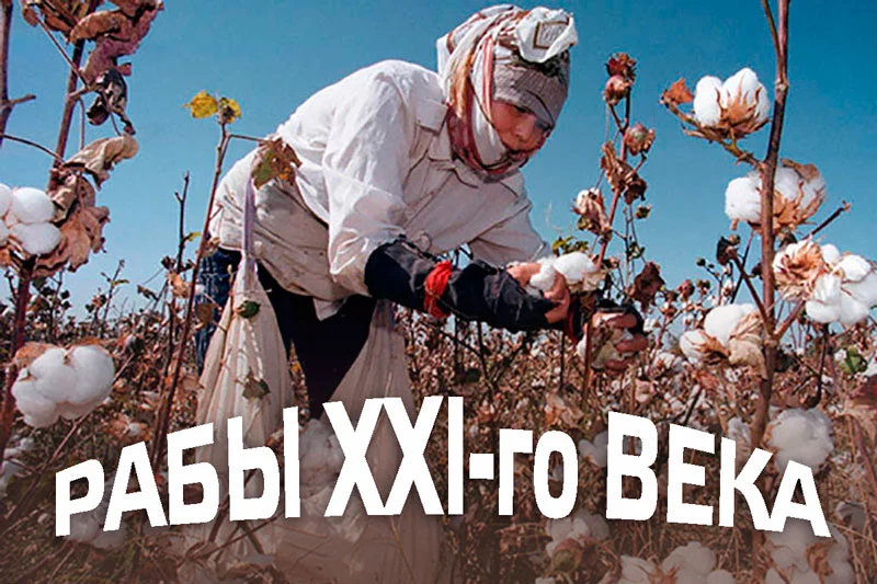Изображение 1 для Мы не рабы, рабы не мы?