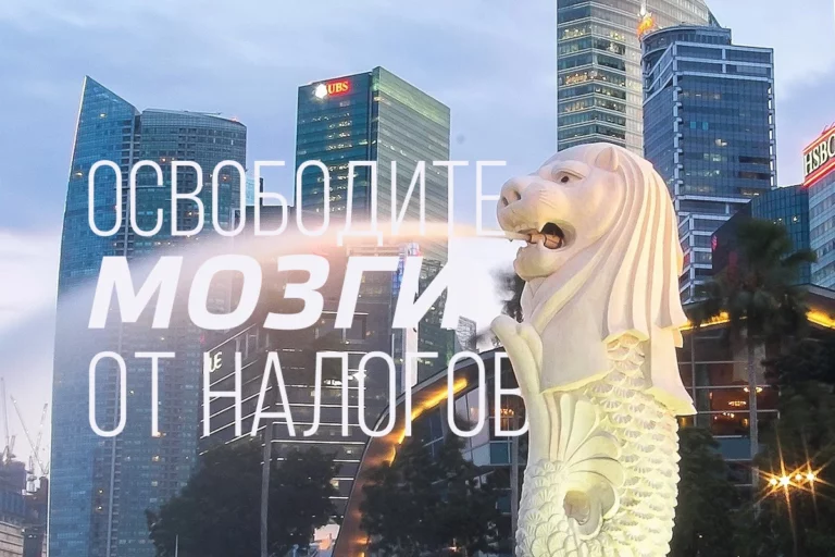Сингапур: освободите мозги от налогов - изображение 1