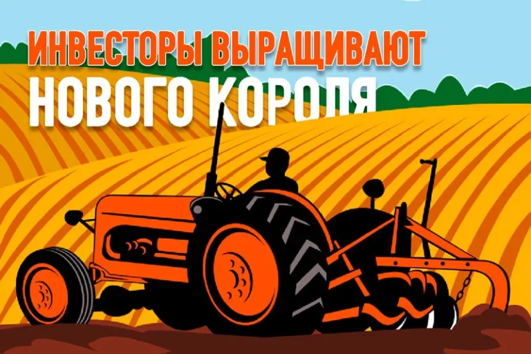 Инвесторы выращивают нового короля - изображение 1