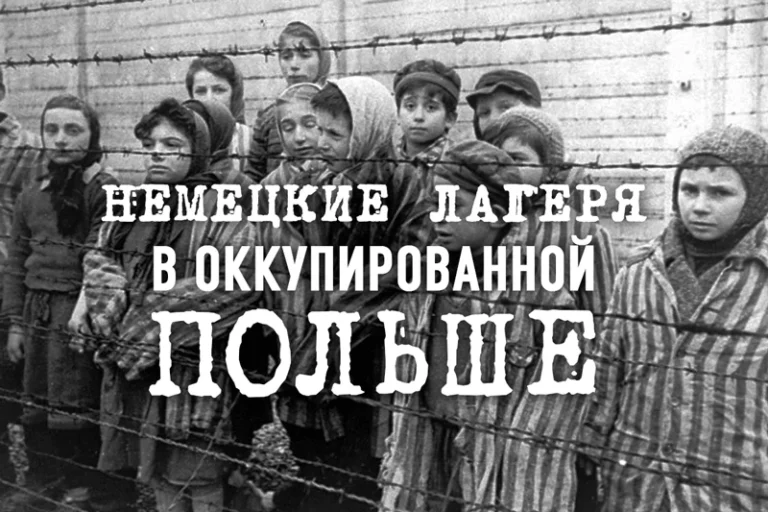 Преступление против истории в Польше - изображение 1