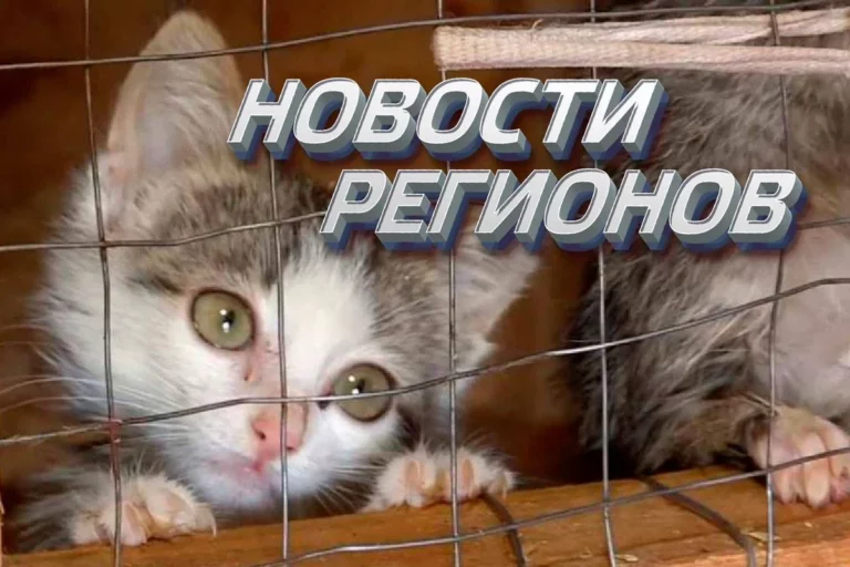 В Астане стартовала специализированная выставка ЭКСПО 2017 - изображение 1