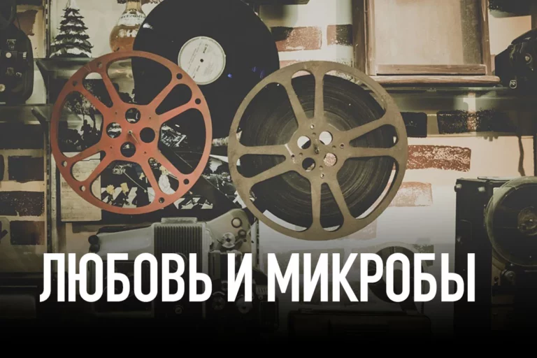 Любовь и микробы - изображение 1