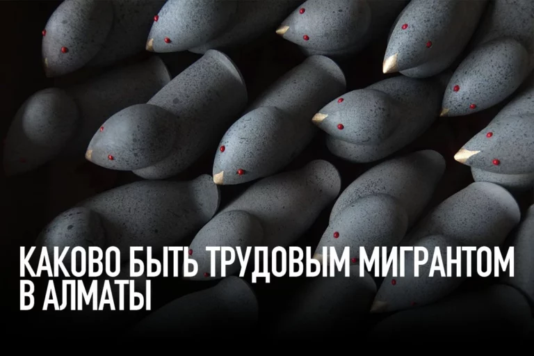 Мигранты в Алматы: 342 млн тенге налогов и ни одного особо тяжкого преступления - изображение 1