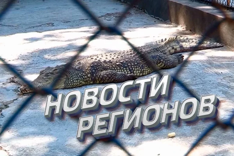 Погибшие животные в зоопарке Шымкента не вынесли условия обитания (видео) - изображение 1
