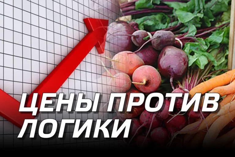 Цены против логики - изображение 1
