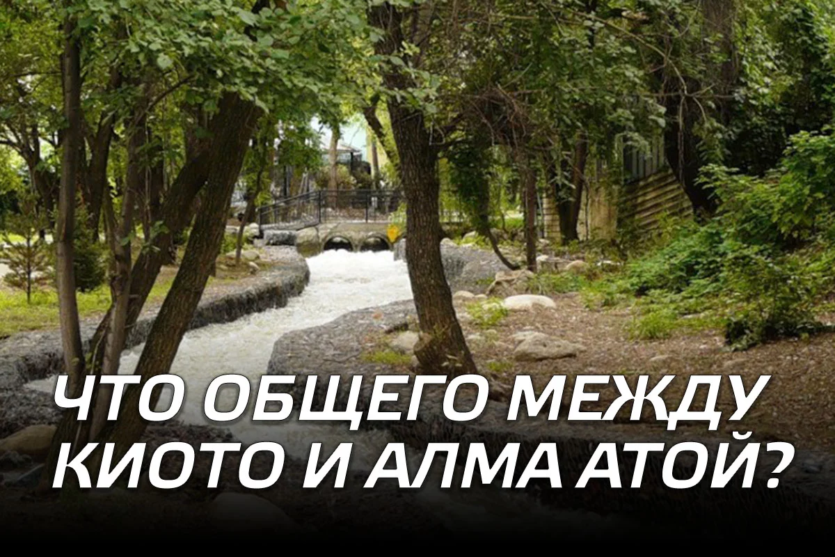 Изображение 1 для Что общего между Киото и Алма Атой?