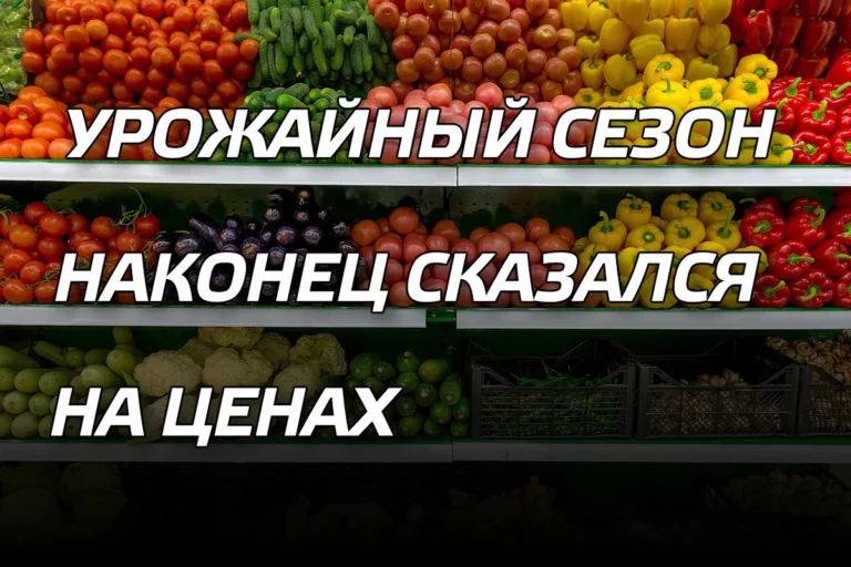 Урожайный сезон наконец сказался на ценах - изображение 1