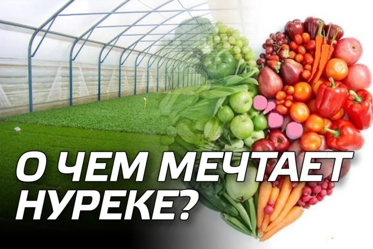 О чем мечтает Нуреке или о шансе Байбека остаться в истории - изображение 1
