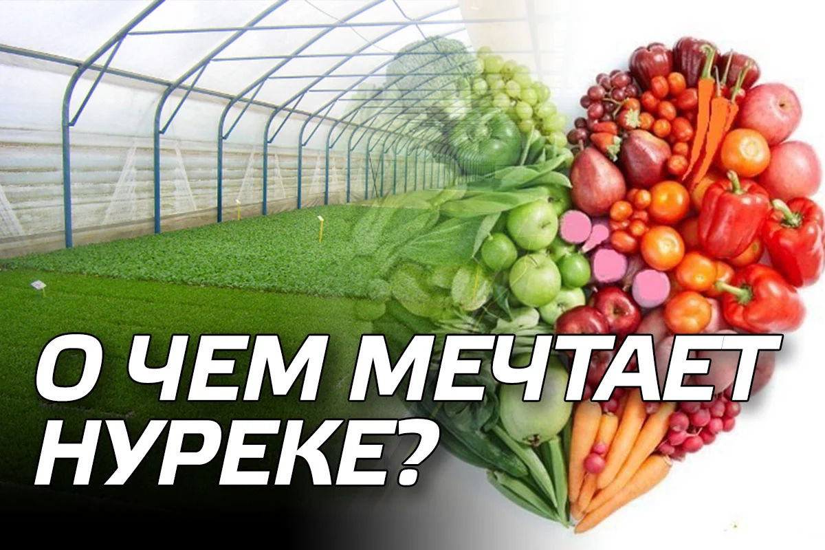 Изображение 1 для О чем мечтает Нуреке или о шансе Байбека остаться в истории