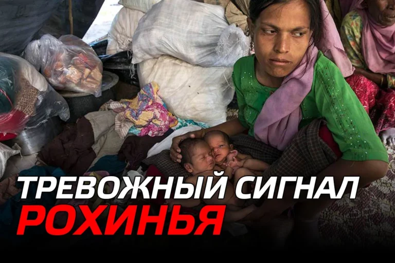 Тревожный сигнал Рохинья или страсть к невежеству - изображение 1