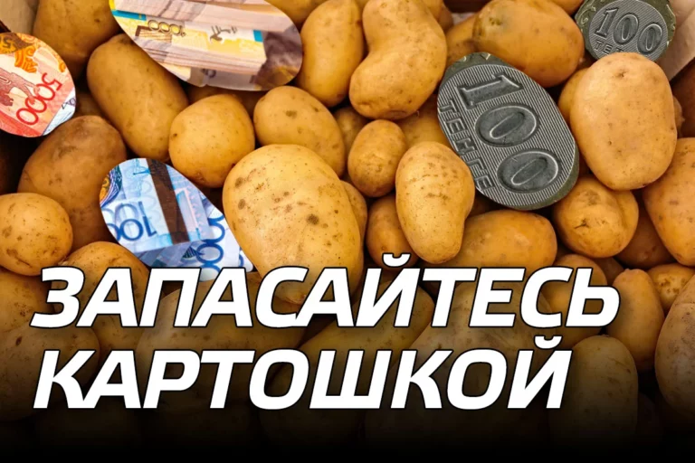 Запасайтесь картошкой - изображение 1