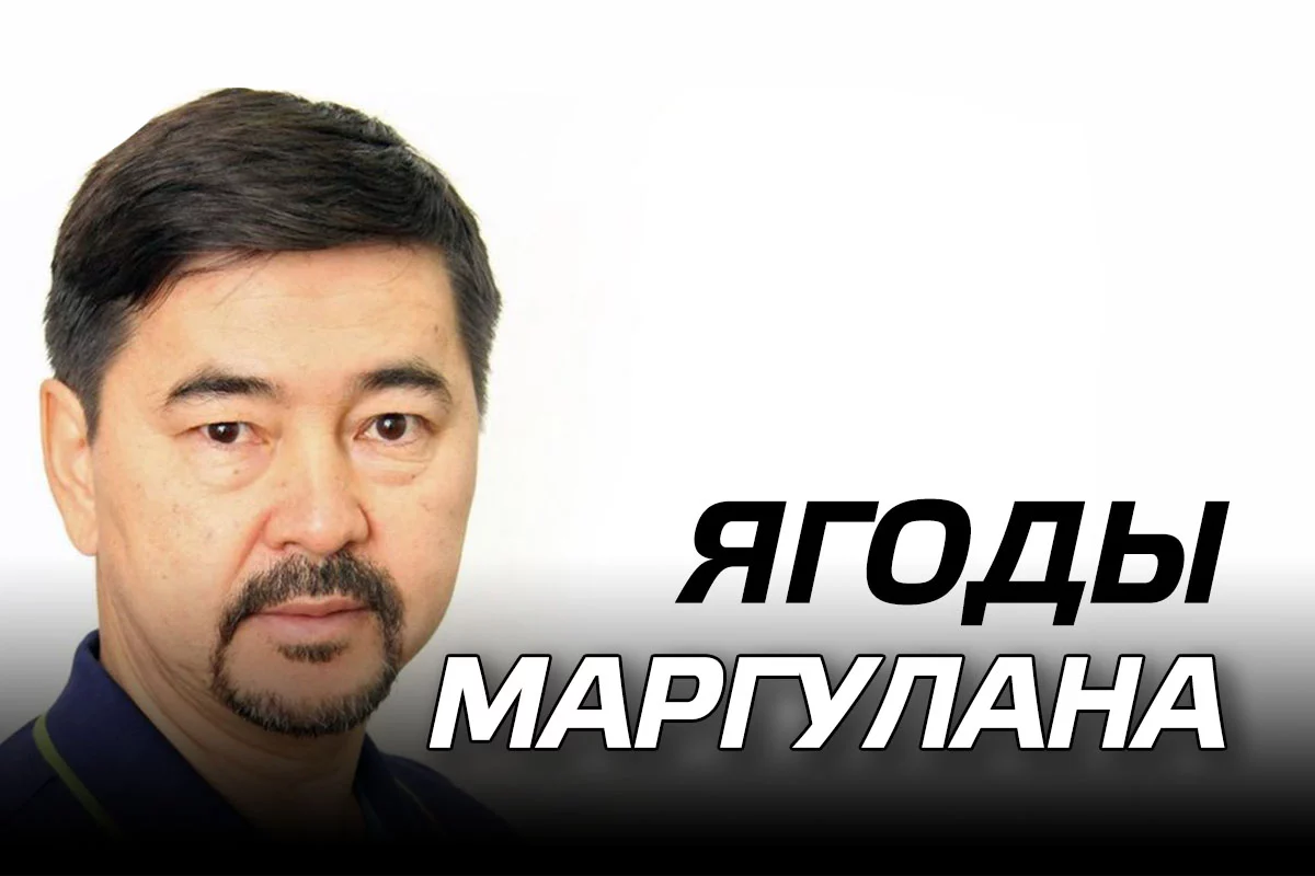 Изображение 1 для Маргулан Сейсембаев: Самые вкусные ягоды растут около логова волков (видео)