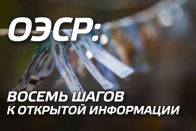 ОЭСР: Восемь шагов к открытой информации - изображение 1