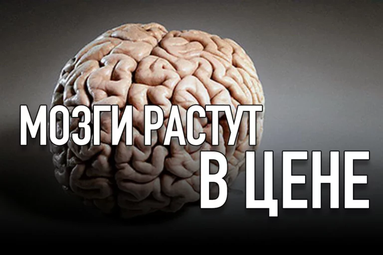 Мозги растут в цене - изображение 1