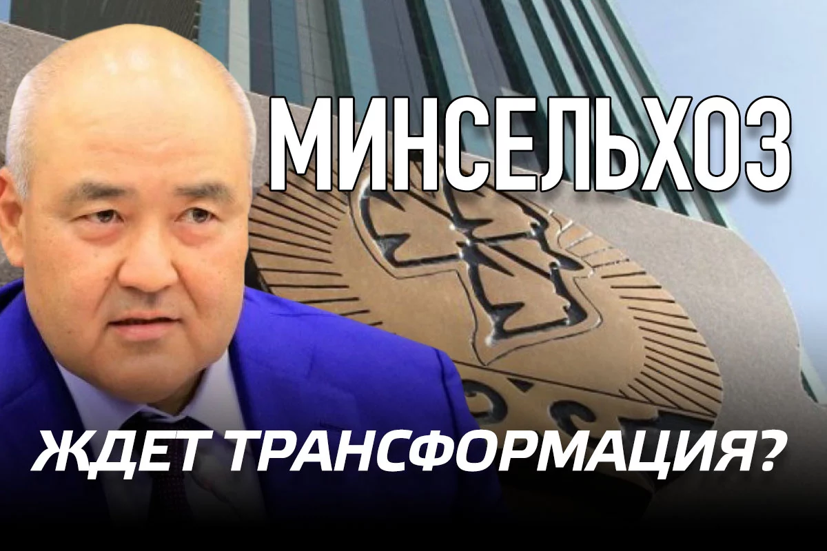 Изображение 1 для Постоянная трансформация Умирзака Шукеева