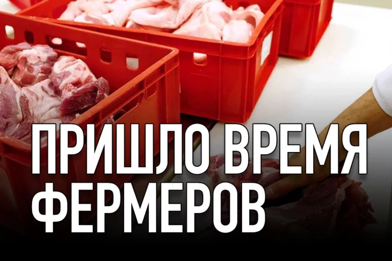 Мясной аспект изменения климата - изображение 1