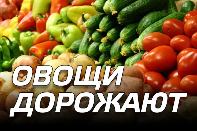 Овощи дорожают - изображение 1