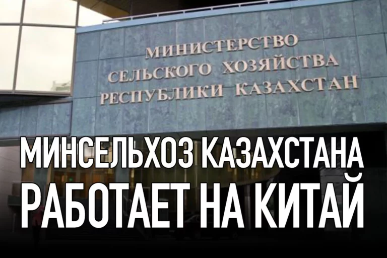 Минсельхоз Казахстана работает на Китай - изображение 1