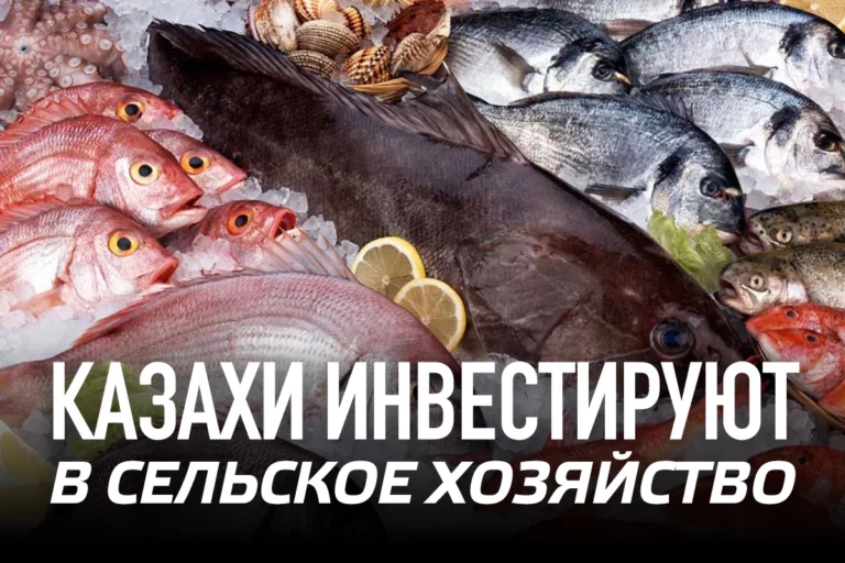 Казахи инвестируют в сельское хозяйство - изображение 1