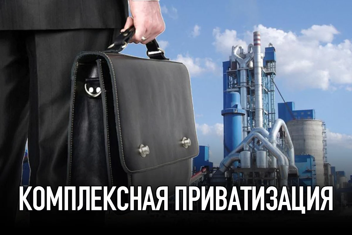 Изображение 1 для Комплексная приватизация