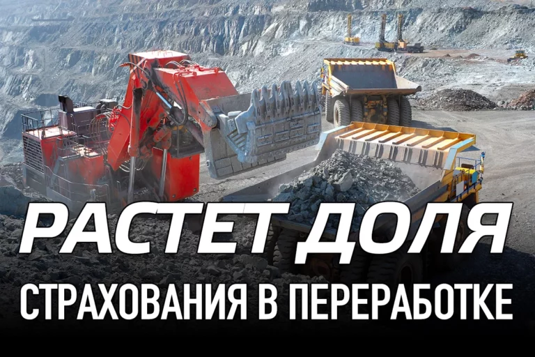 Растет доля страхования в переработке - изображение 1