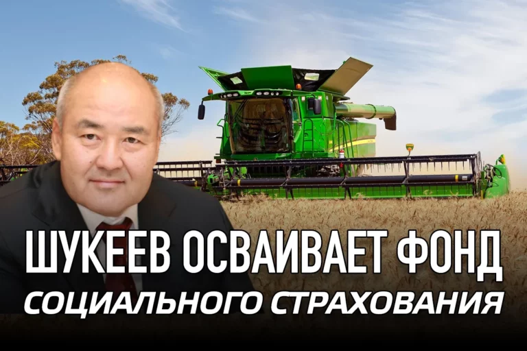 Шукеев осваивает фонд социального страхования - изображение 1