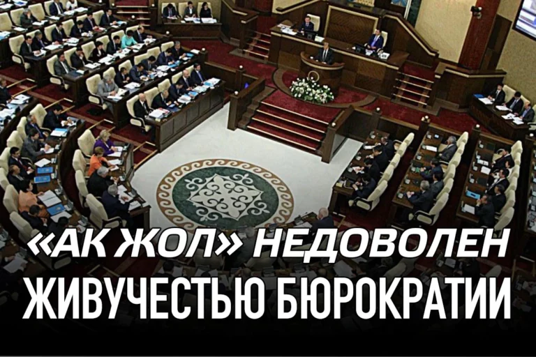 «Ак жол» недоволен живучестью бюрократии - изображение 1