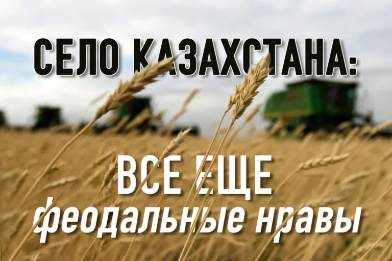Политика государства в АПК провалена - изображение 1