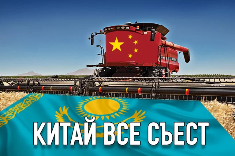 АПК: хождение по мукам - изображение 1
