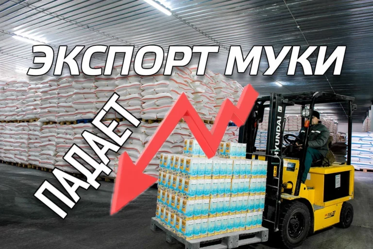 Экспорт казахстанской муки падает - изображение 1