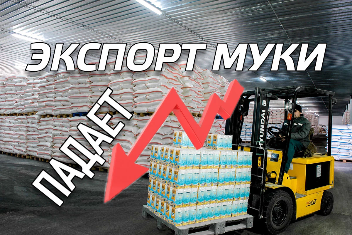 Изображение 1 для Экспорт казахстанской муки падает