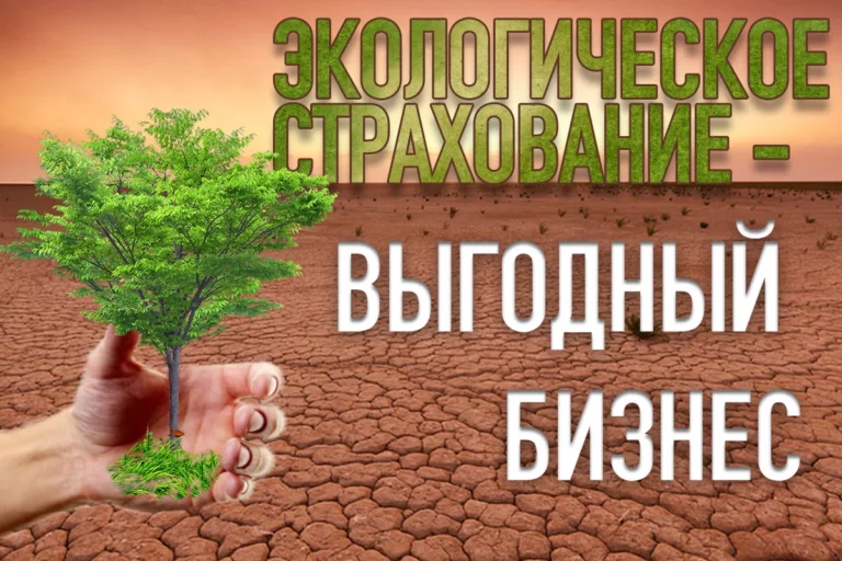 Экологическое страхование – хороший бизнес - изображение 1
