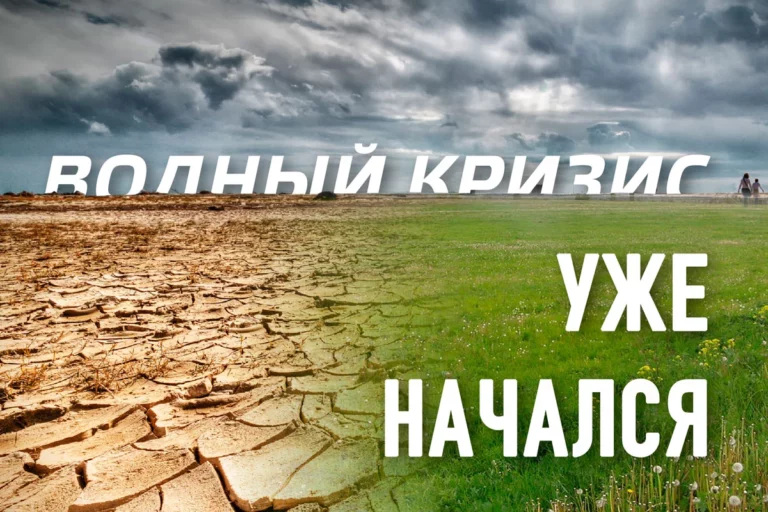 Нам грозит африканский сценарий - изображение 1