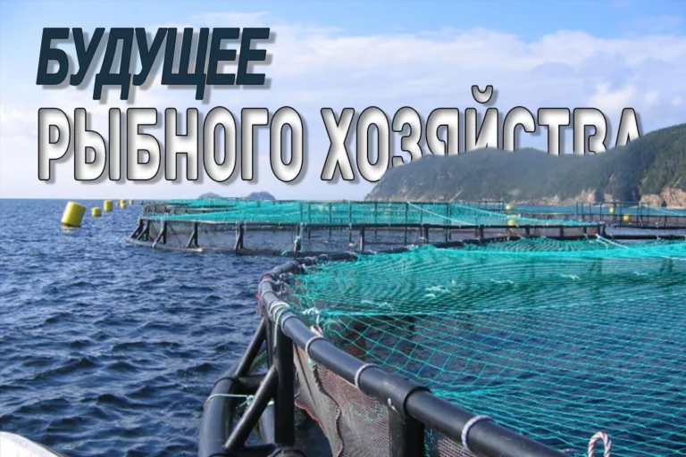 Спрос на морепродукты растет - изображение 1