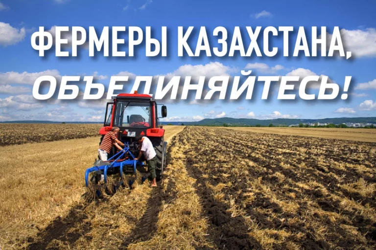 Сошлись фермер с банкиром - изображение 1