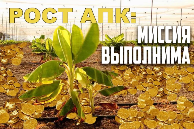 Инвестиции уверенно текут в сельскохозяйственный сектор. - изображение 1