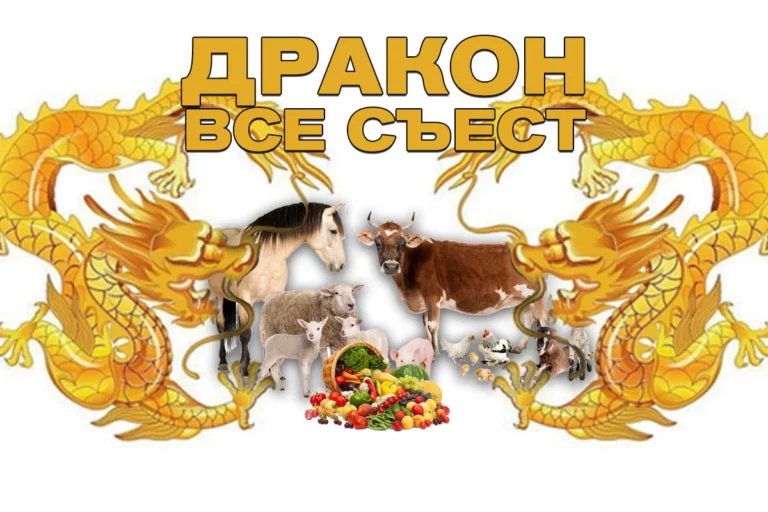 Казахстанской сельхозпродукции открыт экспорт в Китай - изображение 1